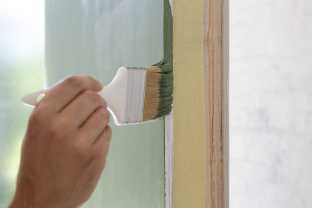 Best Water Damage & Mold Remediation  in Green Valley, CA