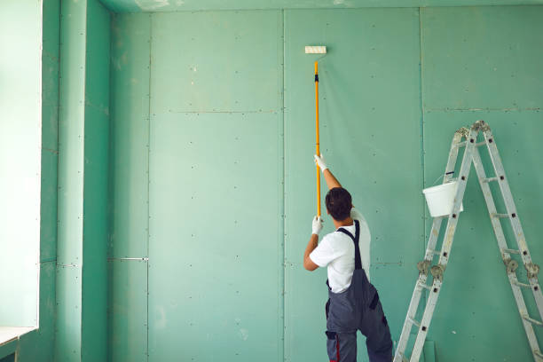 Biohazard Mold Removal in Green Valley, CA