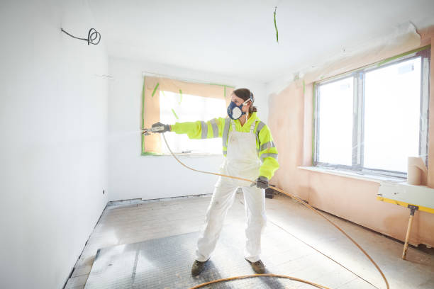 Green Valley, CA Mold Removal Company