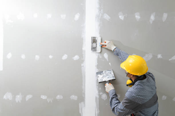 Best Black Mold Removal  in Green Valley, CA