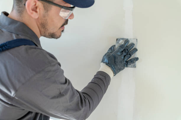 Best Environmental Consulting for Mold Prevention  in Green Valley, CA