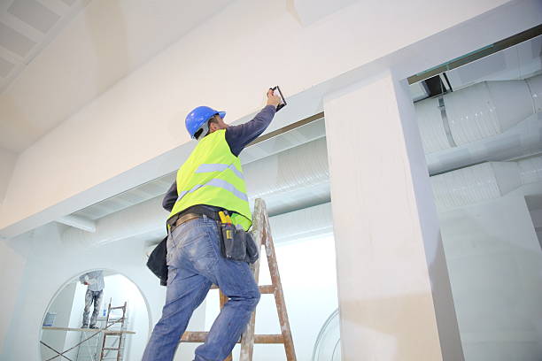 Best Air Quality Testing for Mold Spores  in Green Valley, CA