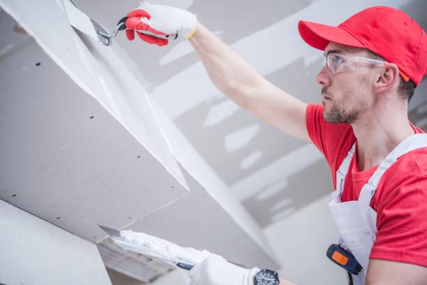 Best Attic Mold Removal  in Green Valley, CA